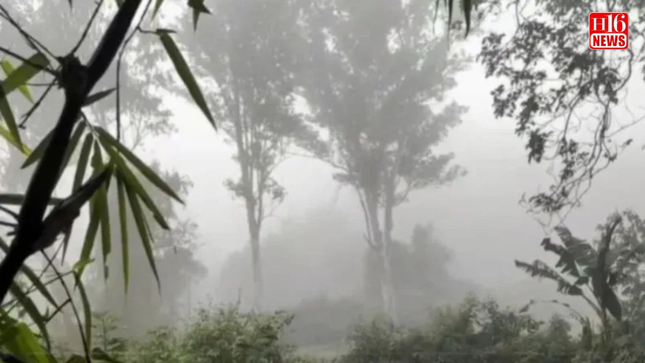 Morning rain in Dehradun brings temporary relief